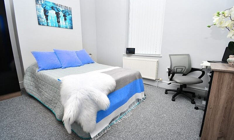 6 Bed 6 Bath Hmo Pre...