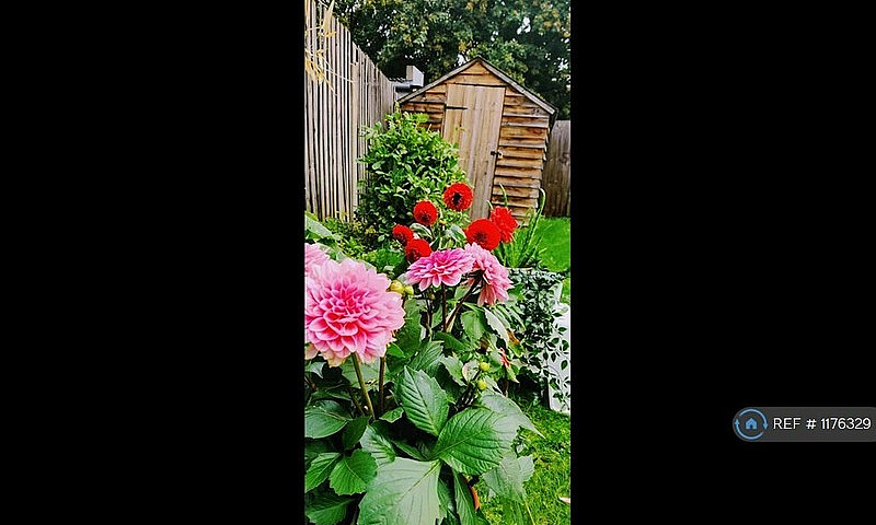3 Bedroom House In L...