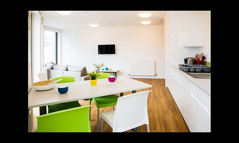 Student Room For Ren...