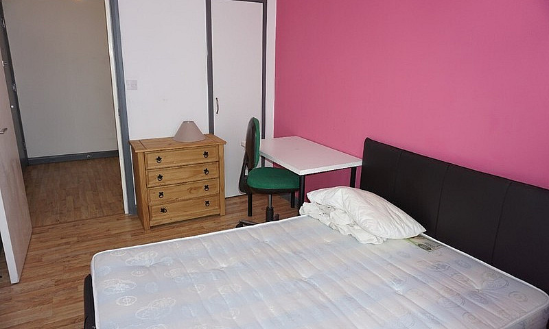 Newly Built 3 Bedroo...
