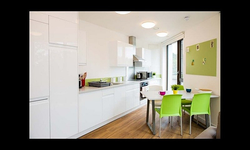 Student Room For Ren...