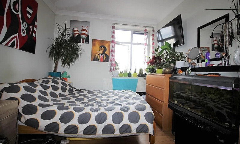 3 Bedroom Flat With ...