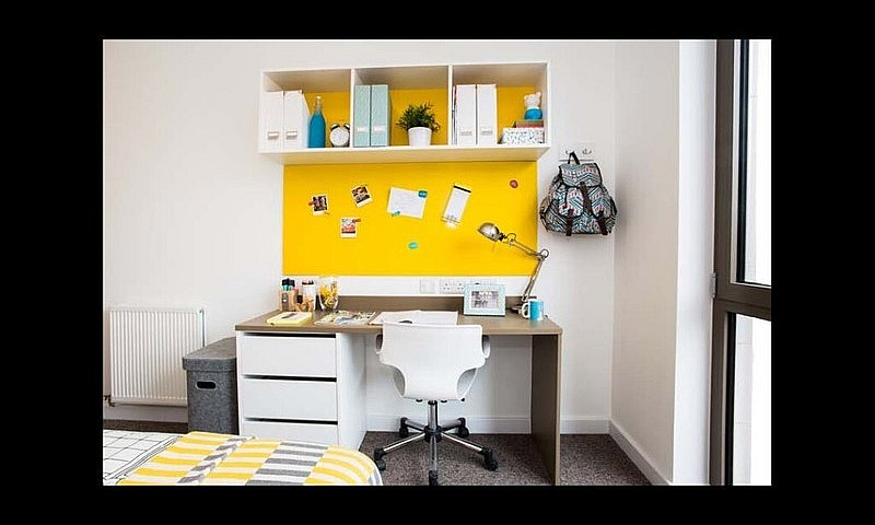 Student Room For Ren...