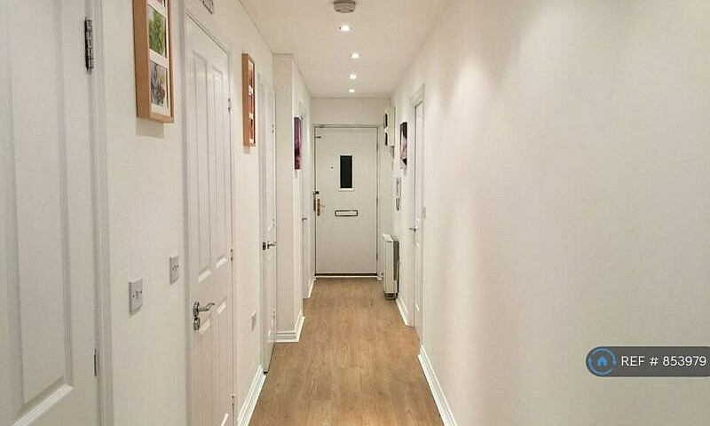 3 Bedroom Flat In Co...