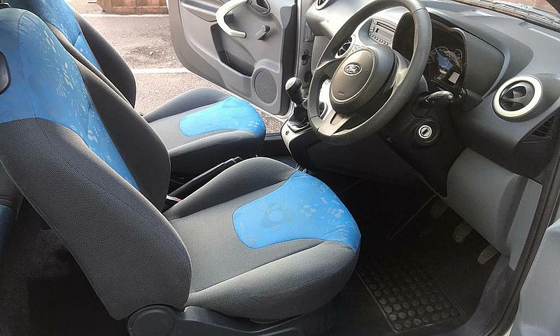 58 - Plate Mini Mini...