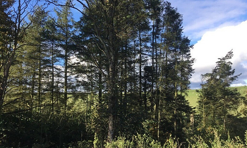 Rural Site With 2 Be...
