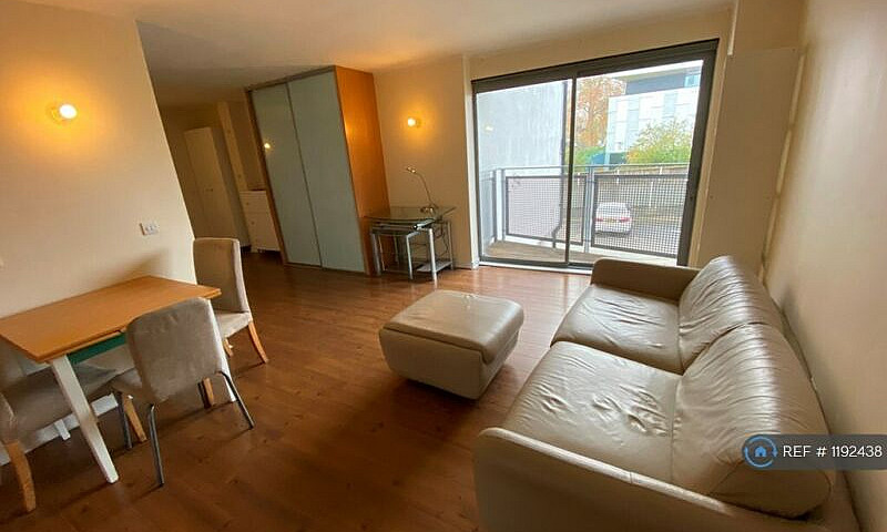 Studio Flat In Color...