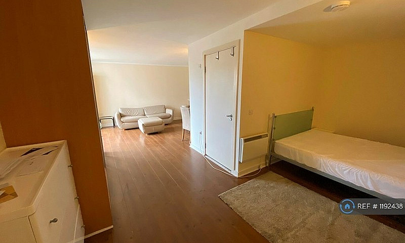Studio Flat In Color...