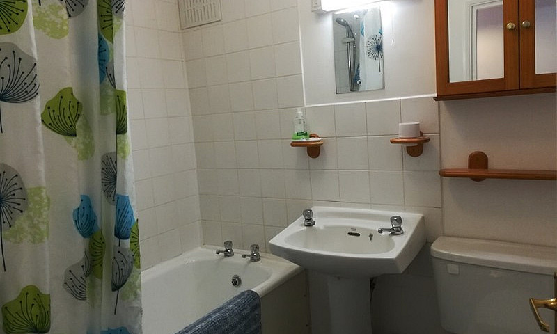 1 Bedroom Spacious A...
