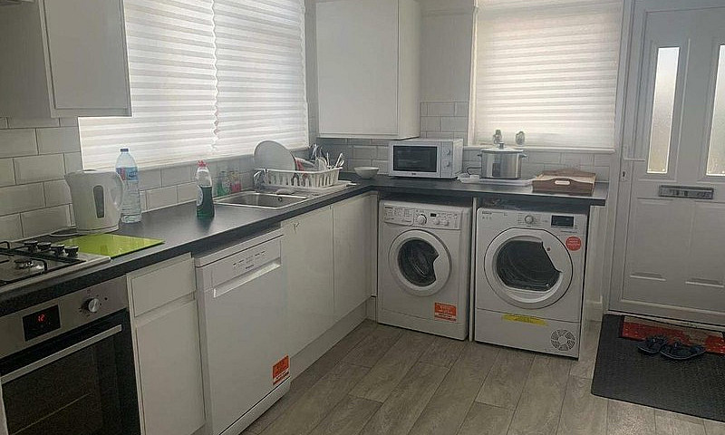 One Single Room To R...