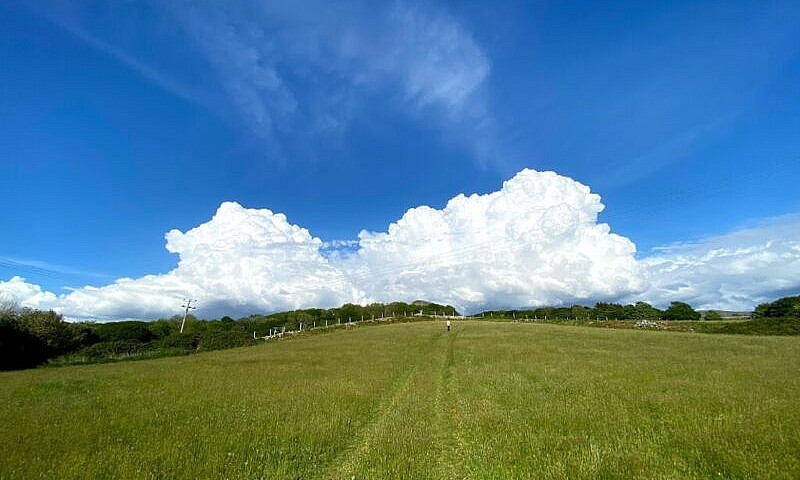 Freehold Land, Circa...