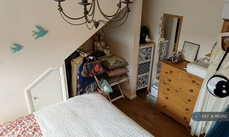 1 Bedroom In Queens ...