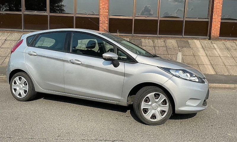 Ford Fiesta 2011 Pet...