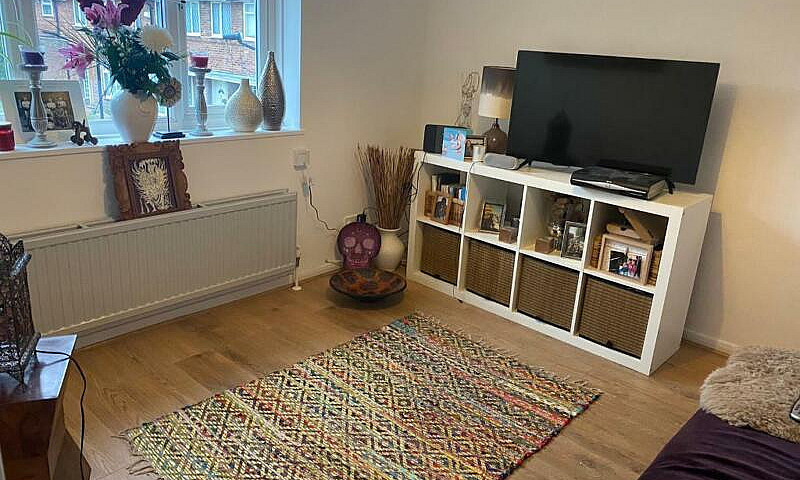 Clean & Bright Doubl...