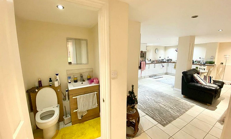 Rent 1 Bedroom Basem...