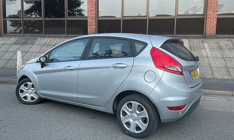 Ford Fiesta 2011 Pet...