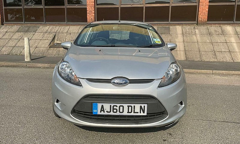 Ford Fiesta 2011 Pet...