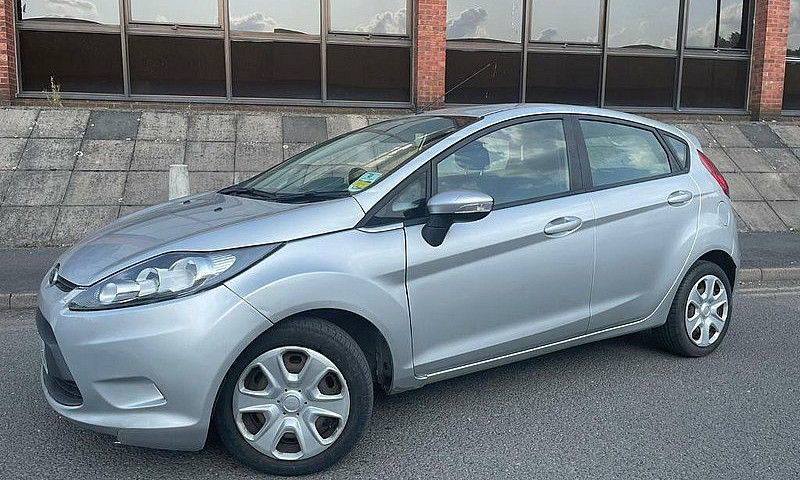 Ford Fiesta 2011 Pet...