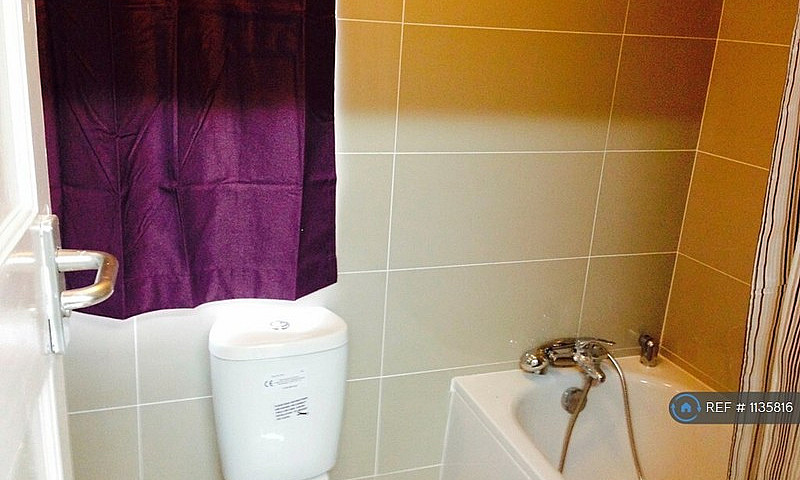 1 Bedroom In Viola A...