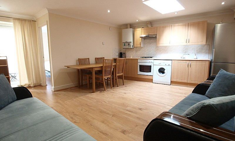Large One-Bedroom Ap...