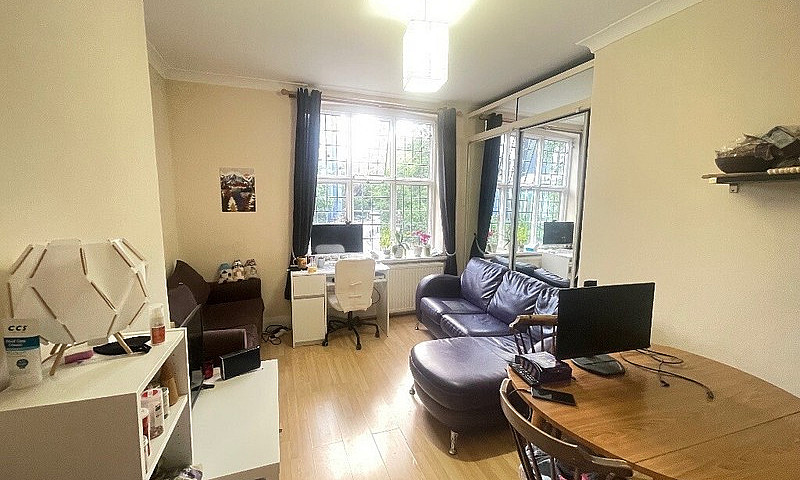 Large One Bedroom Fl...
