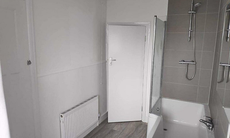 One Single Room To R...