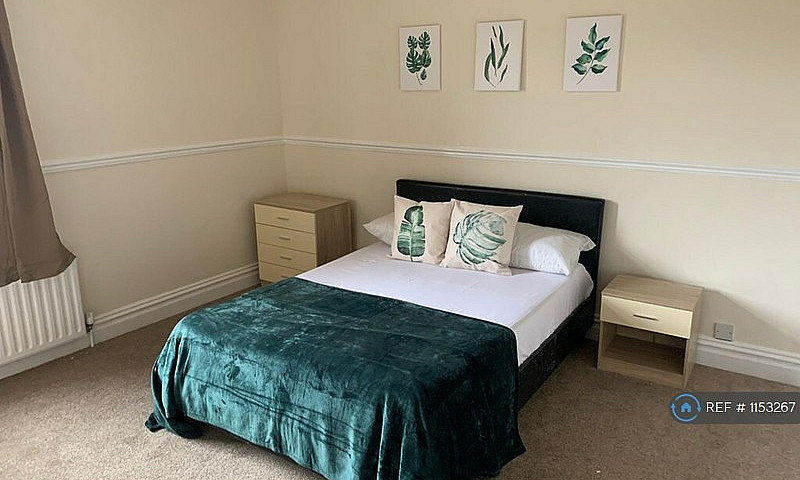 1 Bedroom In Co-Oper...