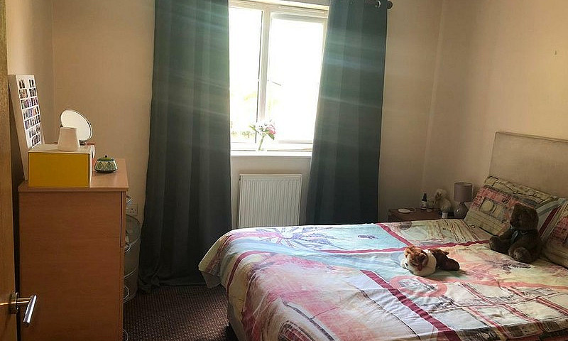 One Bedroom Flat , P...