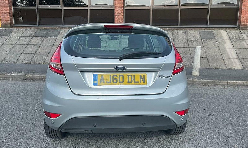 Ford Fiesta 2011 Pet...