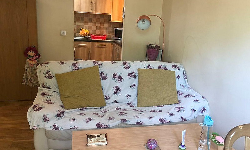 One Bedroom Flat , P...