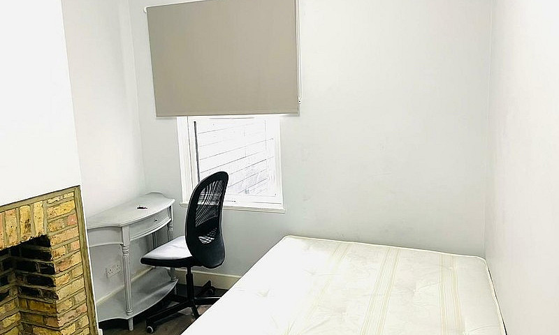 Single Room In Plais...