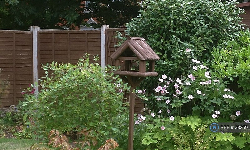 1 Bedroom In Turnpik...