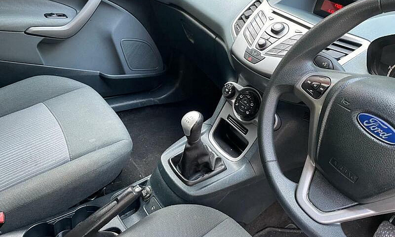 Ford Fiesta 2011 Pet...