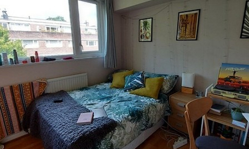 3 Bedroom Flat In Fi...