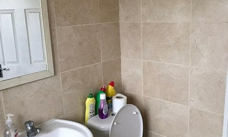 1 Bedroom In Queens ...