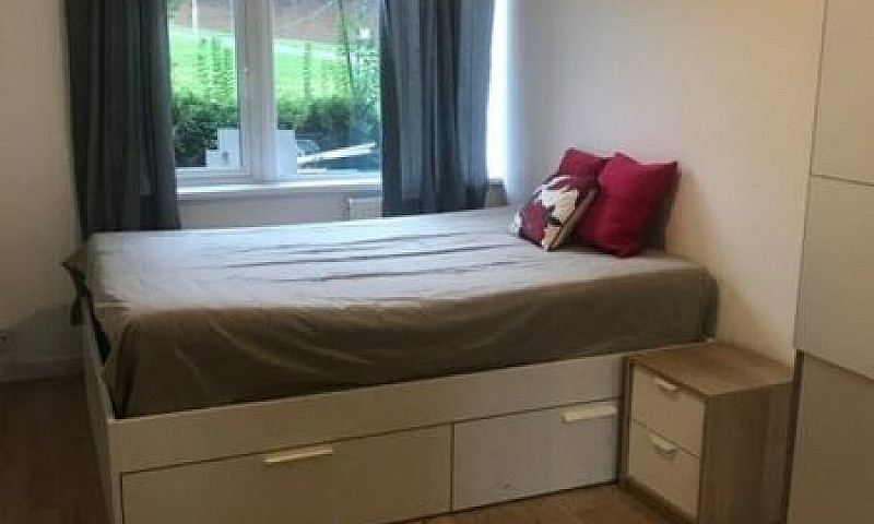 1 Bedroom In Lockwoo...