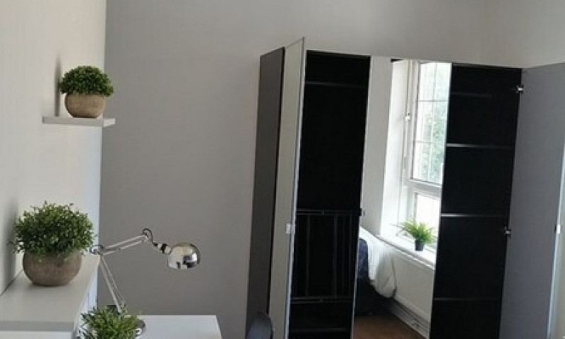 1 Bedroom In Willis ...