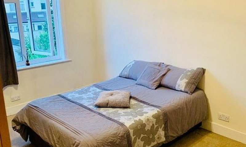 1 Bedroom In Ashley ...