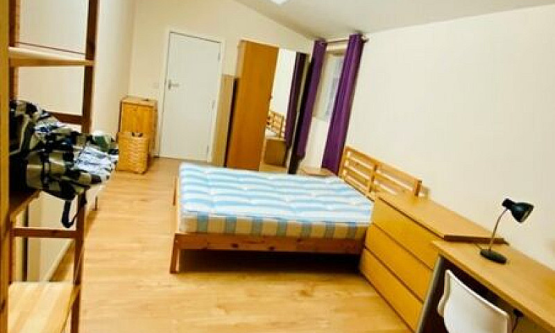 1 Bedroom In Viola A...