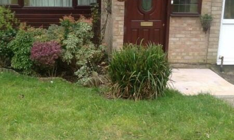 3 Bedroom House In N...