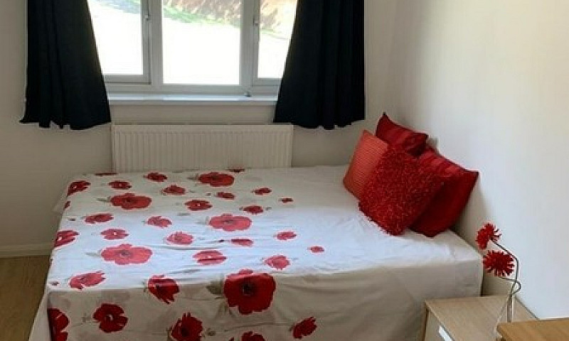 1 Bedroom In Lockwoo...