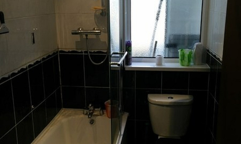 1 Bedroom In Century...
