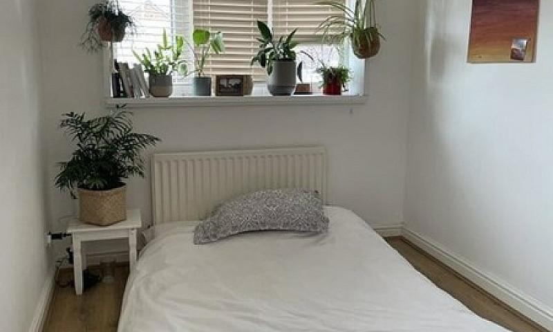 3 Bedroom House In O...