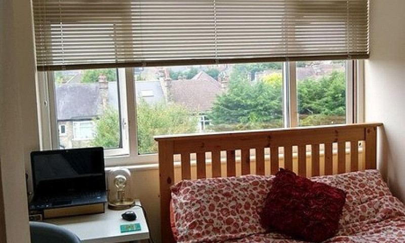1 Bedroom In Queens ...