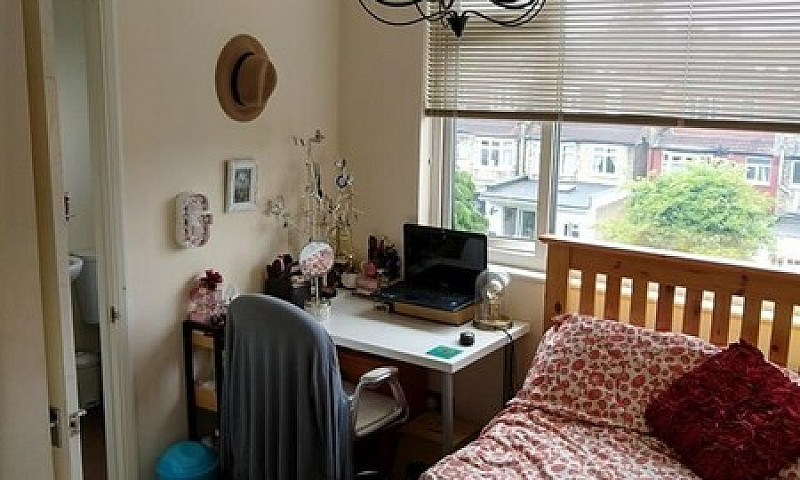 1 Bedroom In Queens ...