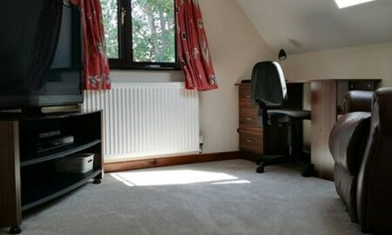 1 Bedroom In Duncan ...