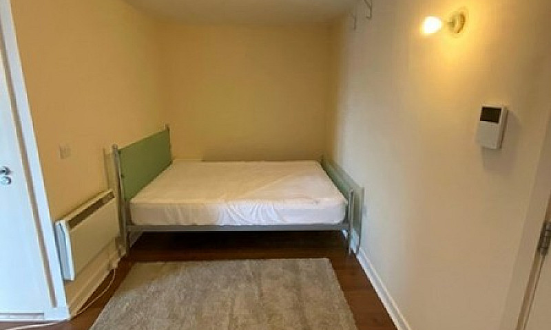 Studio Flat In Color...