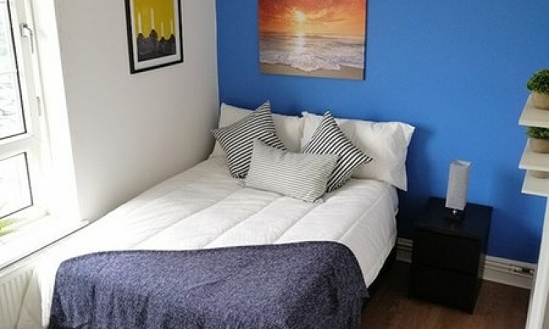 1 Bedroom In Willis ...
