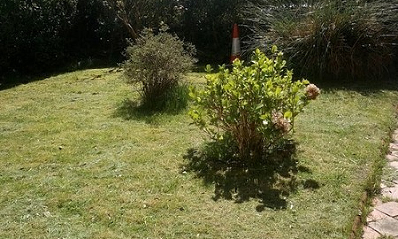1 Bedroom Flat In Ho...