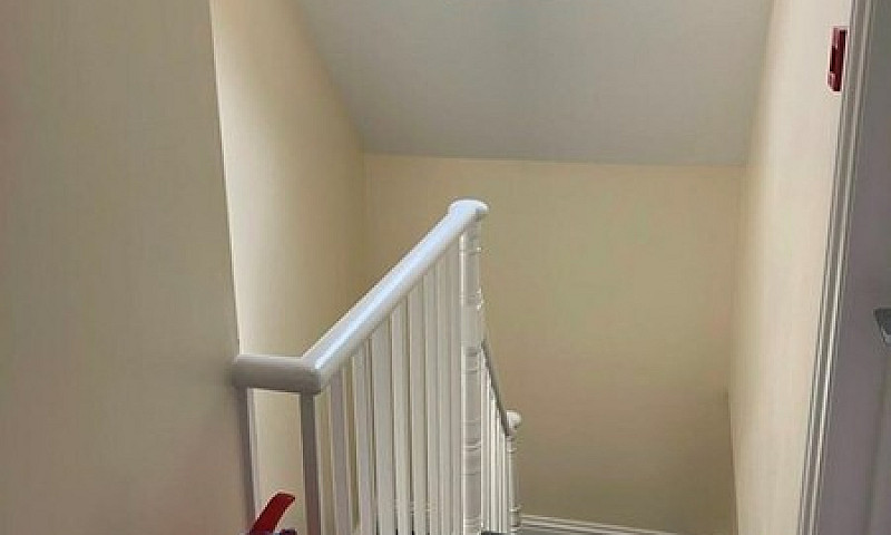 1 Bedroom In Florenc...